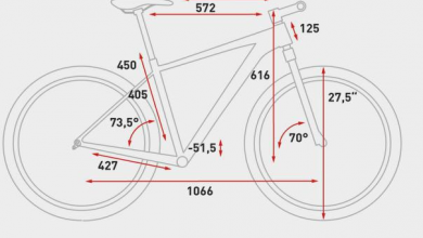 معرفی و انتخاب سایزهای دوچرخه